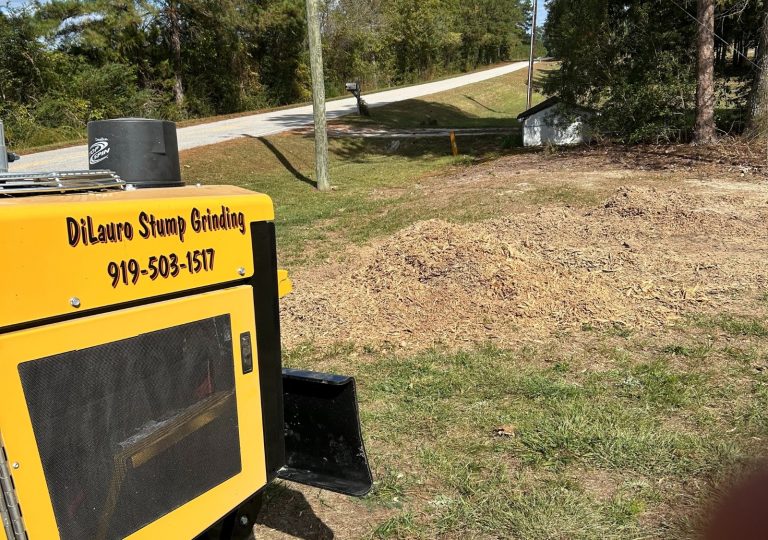 Grinding Stumps In Raleigh North Carolina