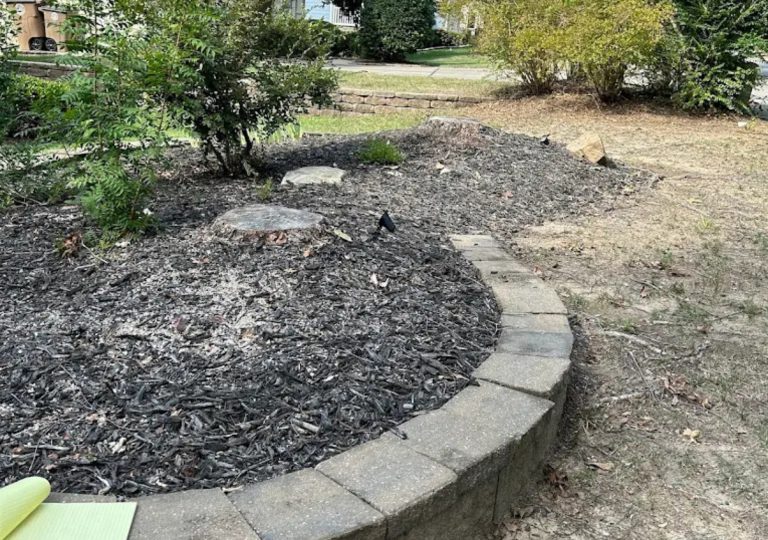 Shrub Removal
